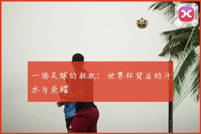 一场足球的狂欢：世界杯背后的汗水与荣耀