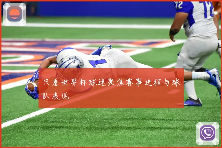 只看世界杯球迷聚焦赛事进程与球队表现