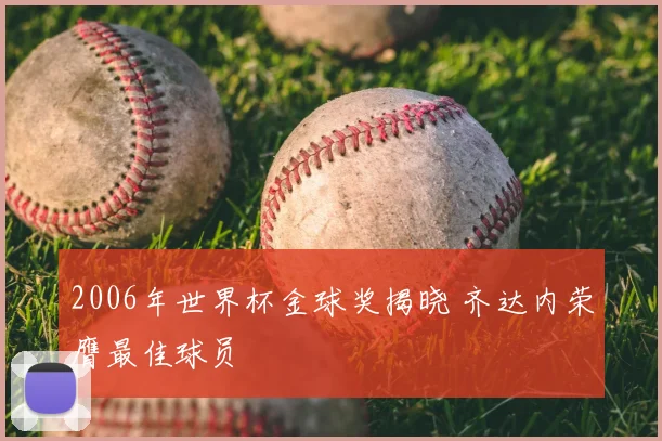 2006年世界杯金球奖揭晓 齐达内荣膺最佳球员
