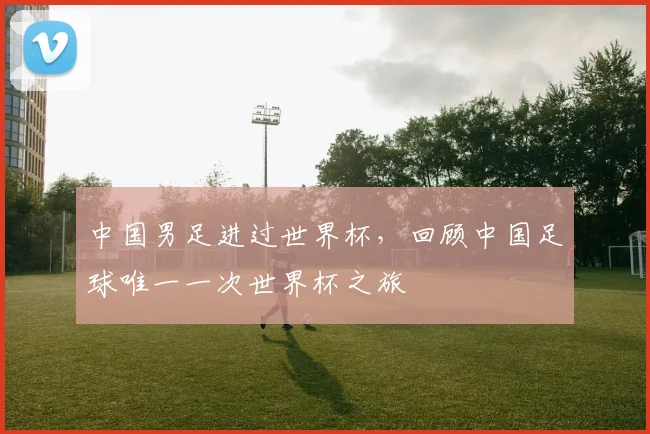 中国男足进过世界杯，回顾中国足球唯一一次世界杯之旅