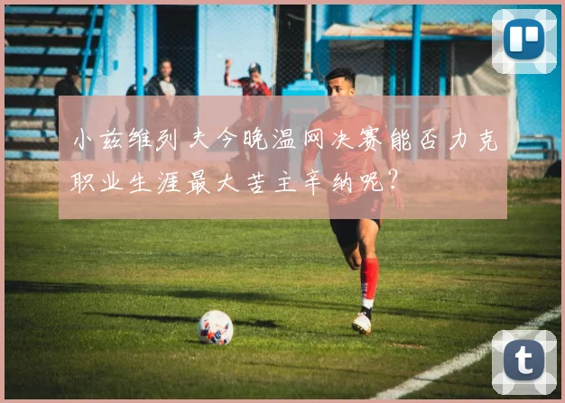 小兹维列夫今晚温网决赛能否力克职业生涯最大苦主辛纳呢?