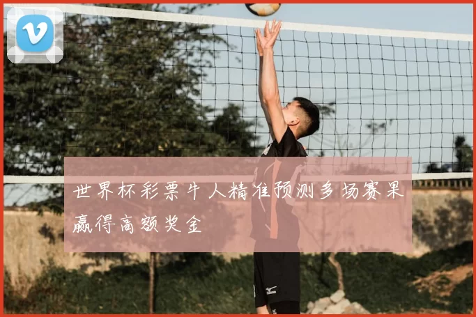 世界杯彩票牛人精准预测多场赛果赢得高额奖金