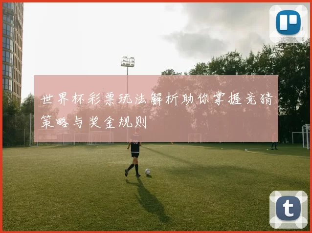 世界杯彩票玩法解析助你掌握竞猜策略与奖金规则