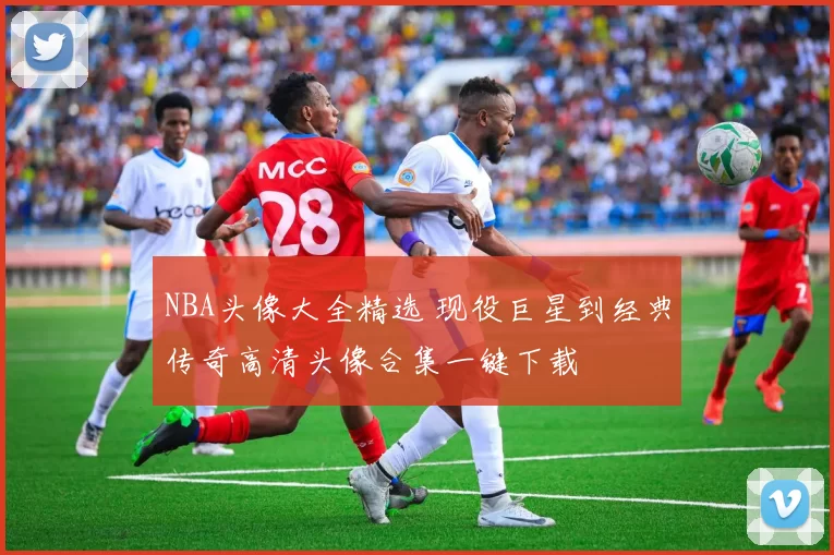 NBA头像大全精选 现役巨星到经典传奇高清头像合集一键下载